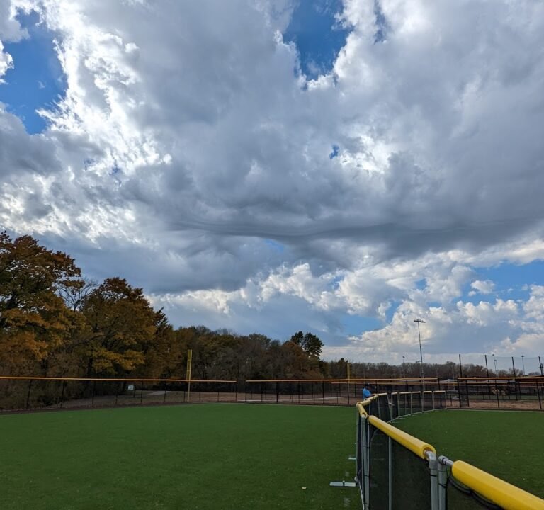 Soccer Field image 2