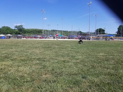 Soccer Field image 1