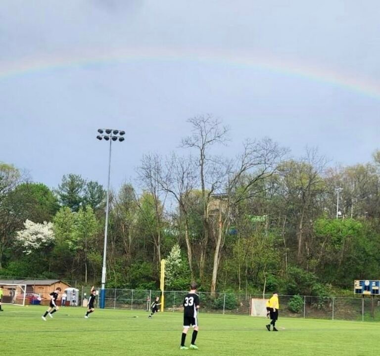 Soccer Field image 2