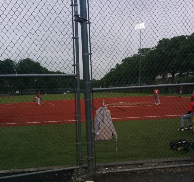 Soccer Field image 3