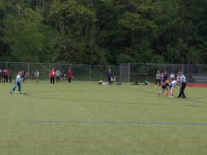 Soccer Field image 1