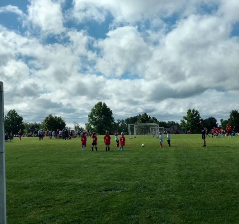 Soccer Field image 3