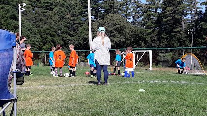 Soccer Field image 1