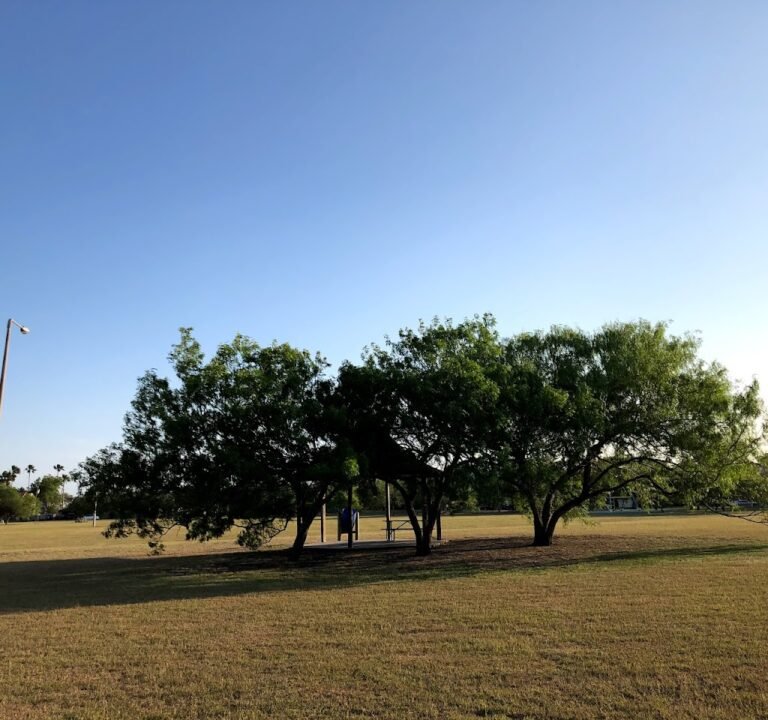 Soccer Field image 2