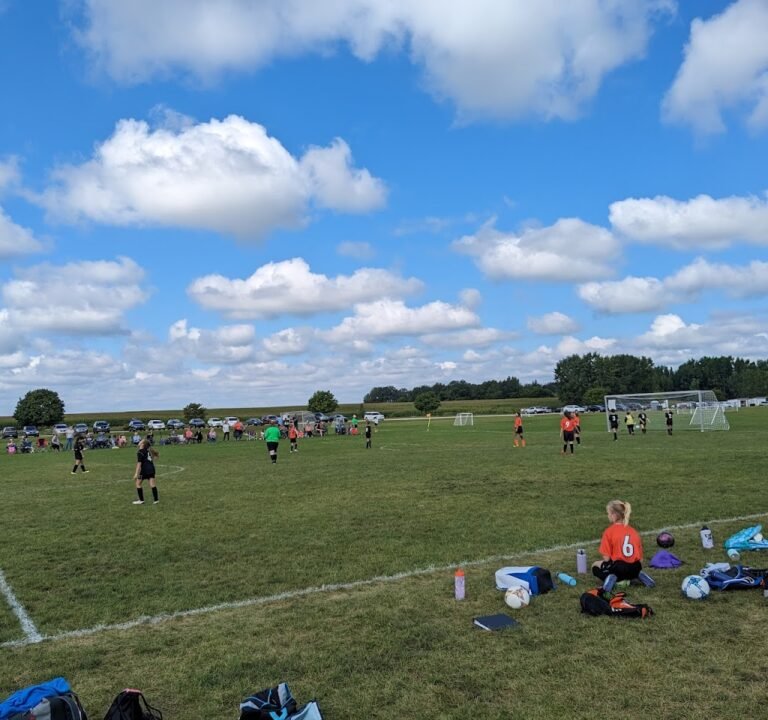 Soccer Field image 2