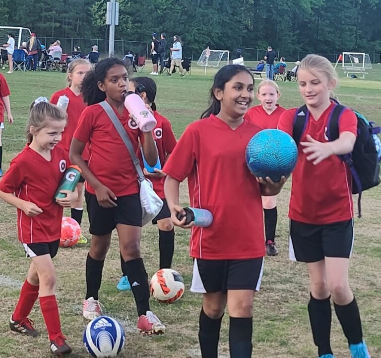 Soccer Field image 3