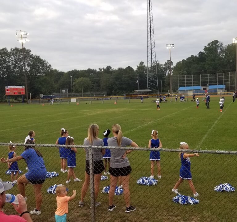 Soccer Field image 2