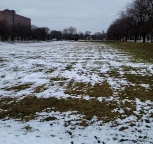 Soccer Field image 4
