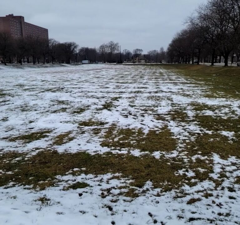 Soccer Field image 4