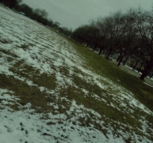 Soccer Field image 2