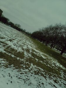 Soccer Field image 1