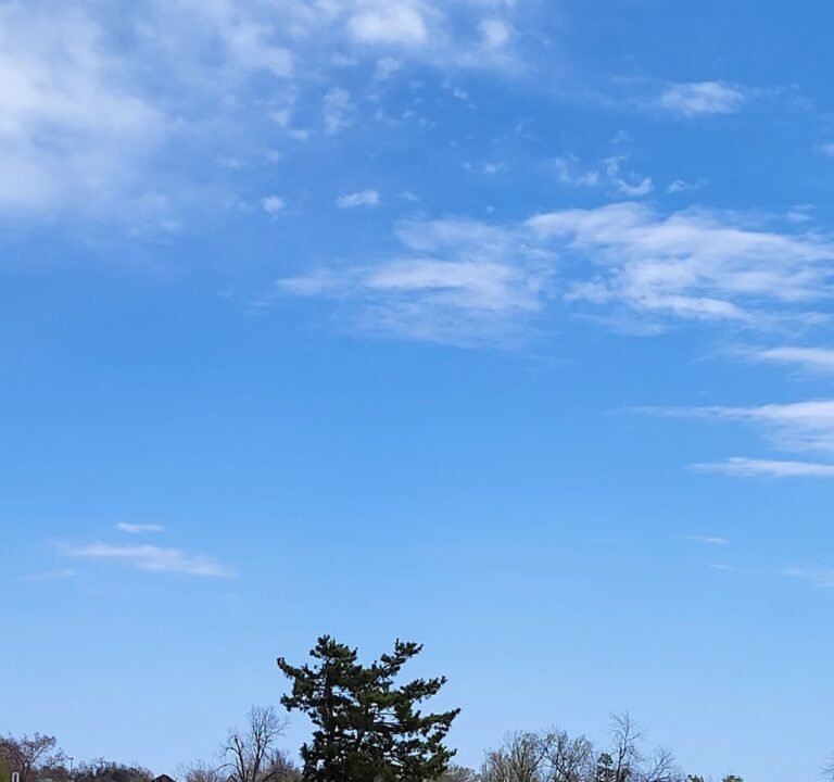 Soccer Field image 2