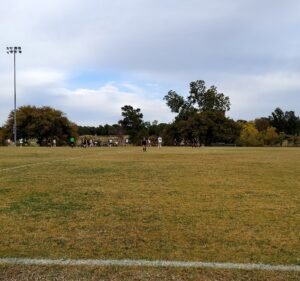 Soccer Field image 3