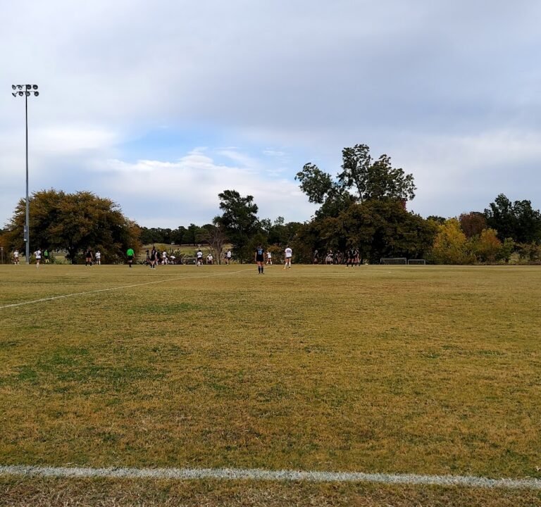 Soccer Field image 3