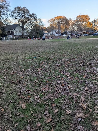 Soccer Field image 1