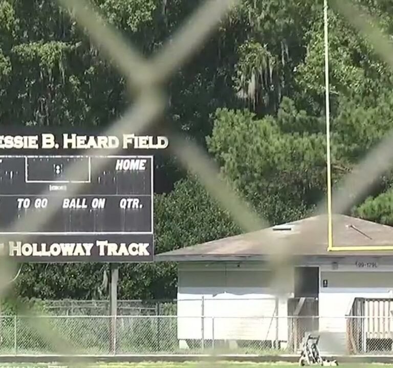 Soccer Field image 2