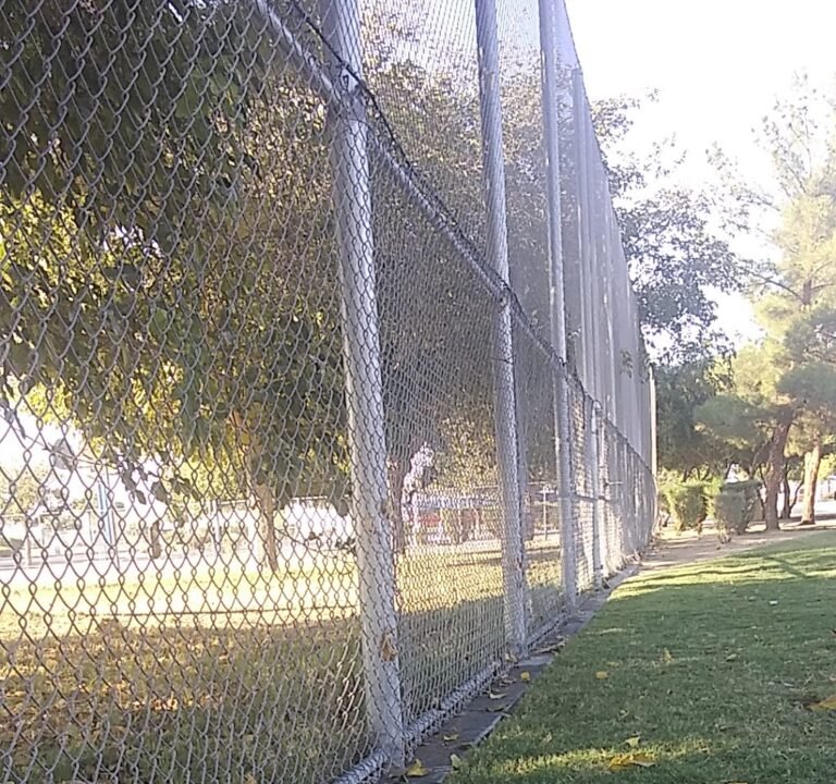 Soccer Field image 2