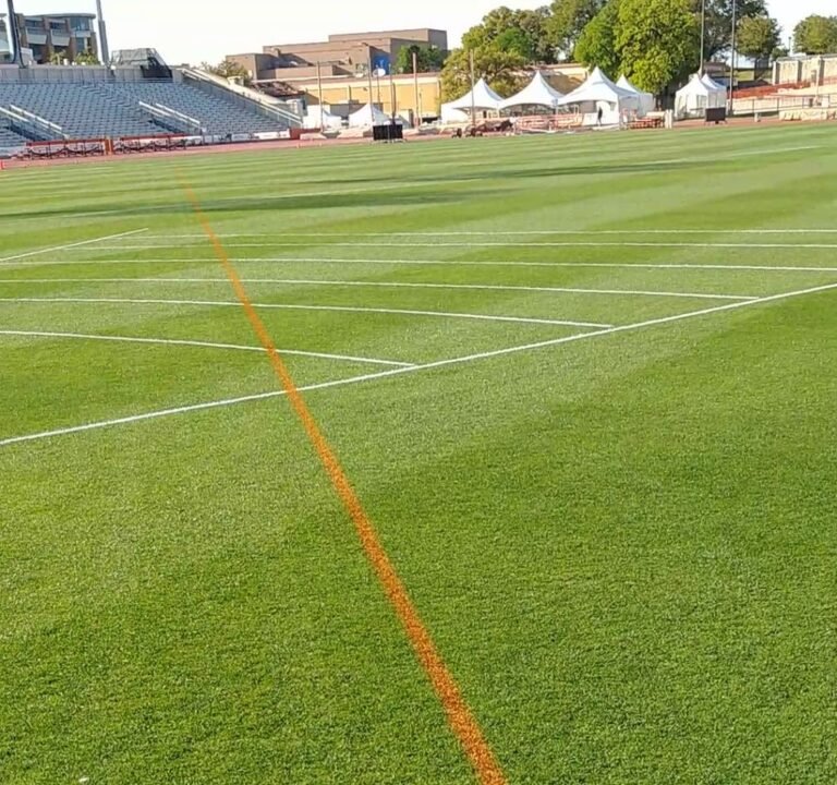 Soccer Field image 4