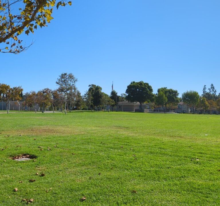 Soccer Field image 2