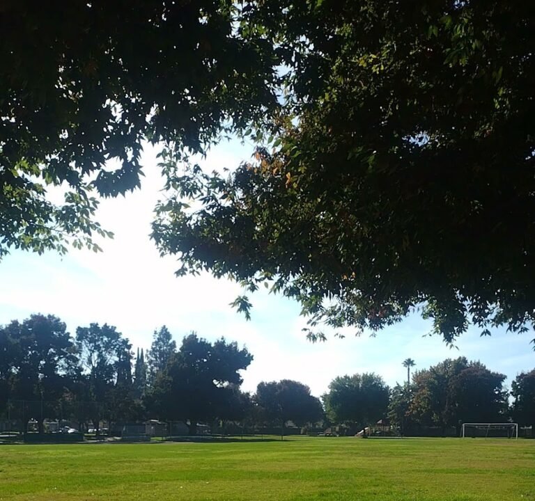 Soccer Field image 3