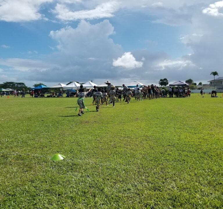 Soccer Field image 2