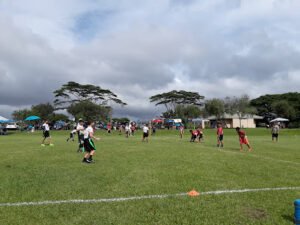 Soccer Field image 1
