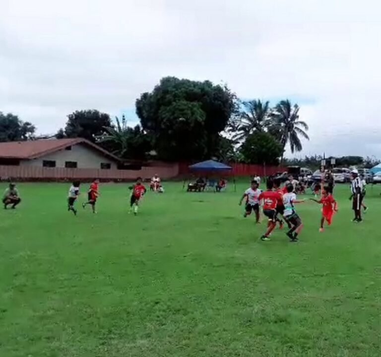 Soccer Field image 4