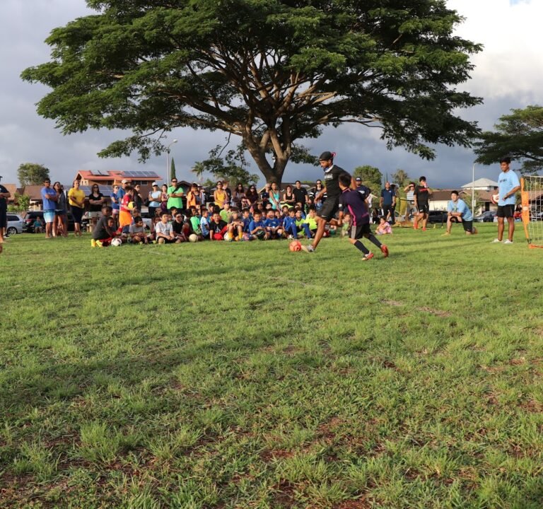 Soccer Field image 2