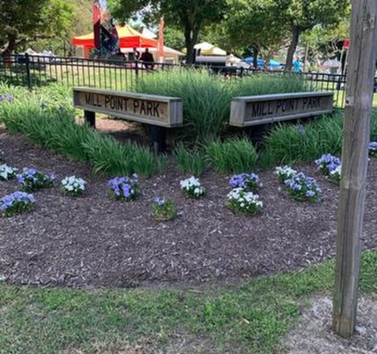 Soccer Field image 2