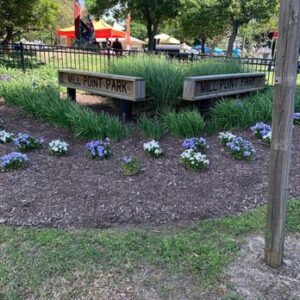 Soccer Field image 1