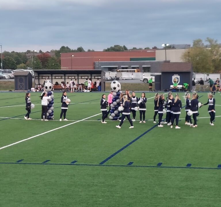 Soccer Field image 2