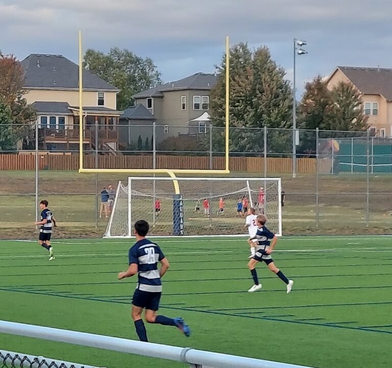 Soccer Field image 3