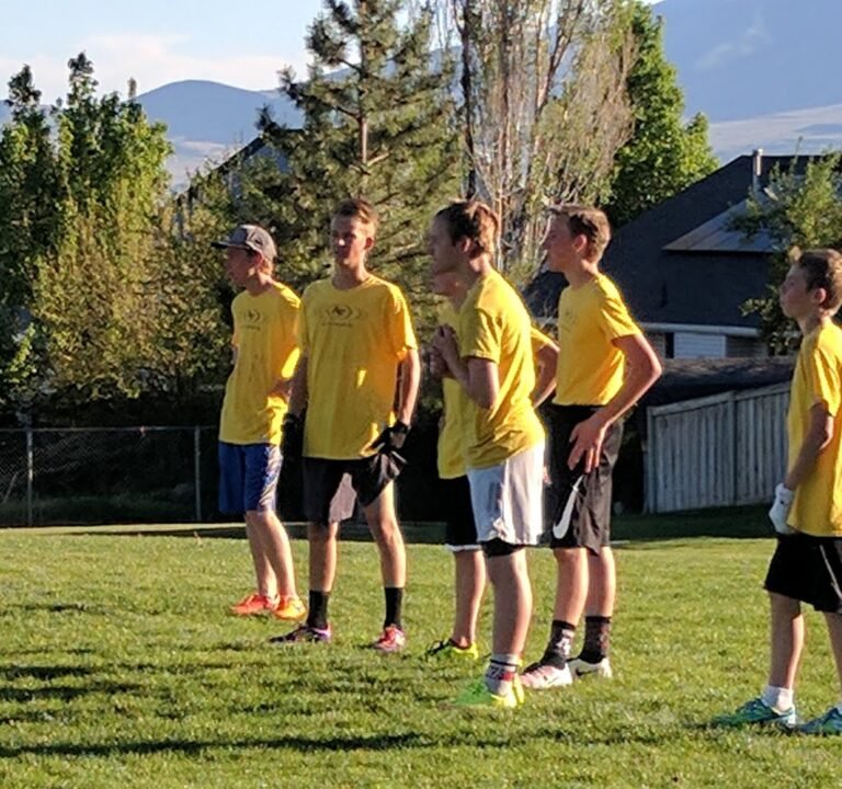 Soccer Field image 2