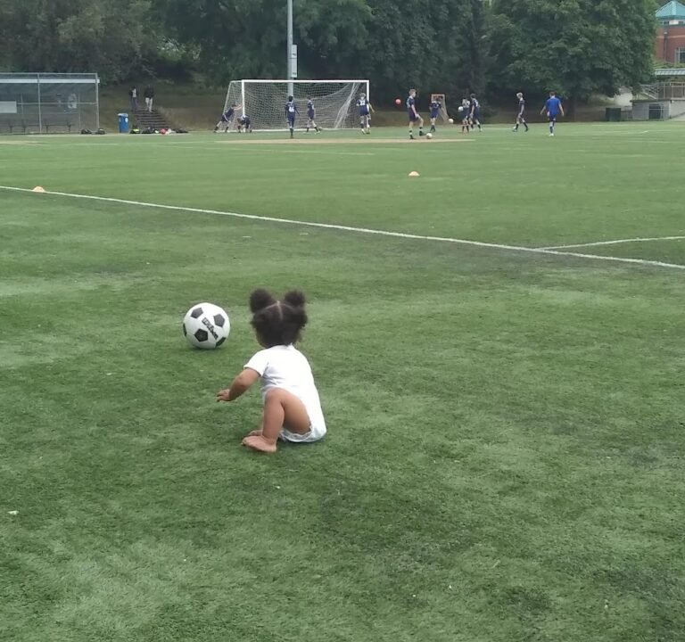 Soccer Field image 3