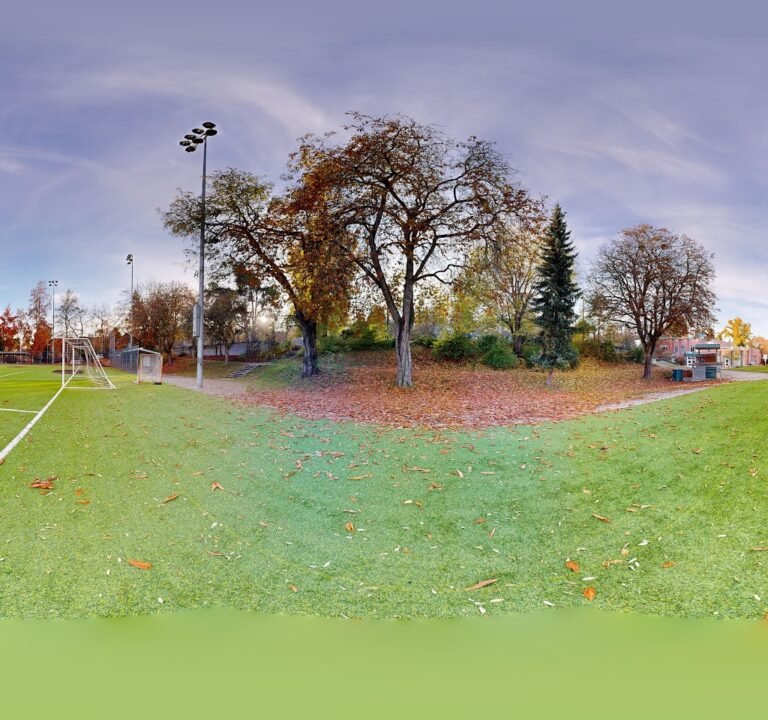 Soccer Field image 4