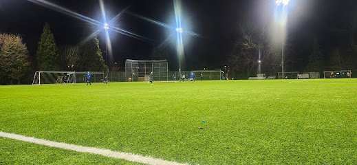 Soccer Field image 1
