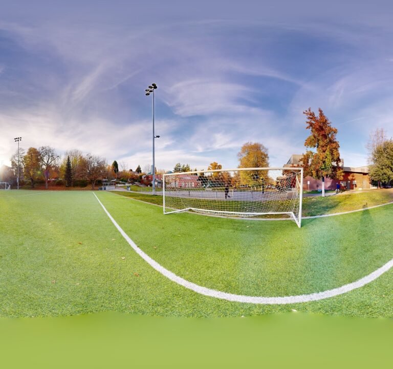 Soccer Field image 2