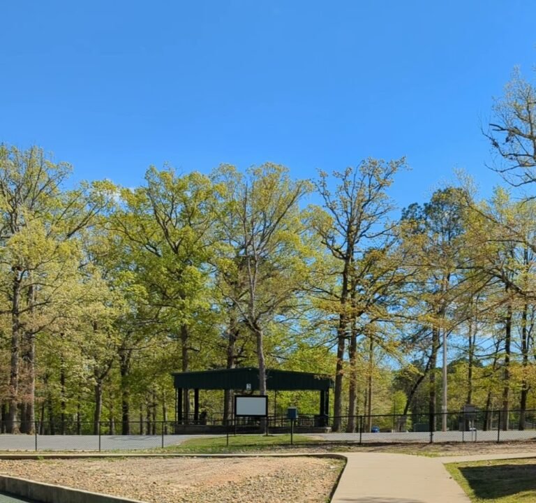 Soccer Field image 4