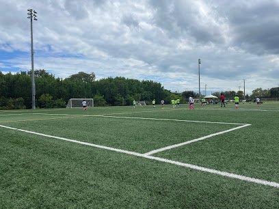 Soccer Field image 1