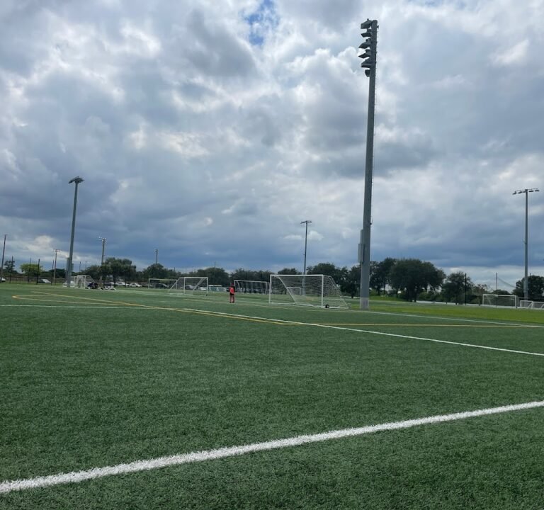Soccer Field image 2