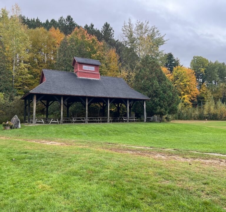 Soccer Field image 2