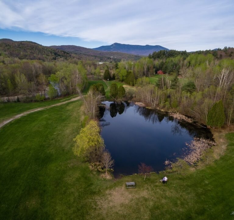 Soccer Field image 3