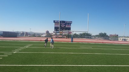 Soccer Field image 1