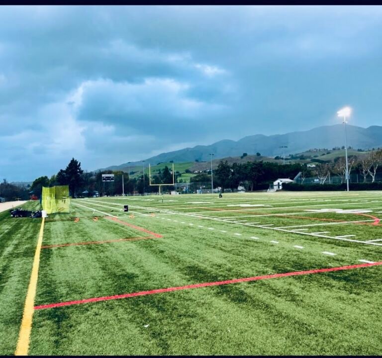 Soccer Field image 2