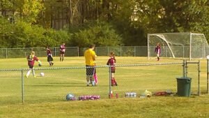 Soccer Field image 1