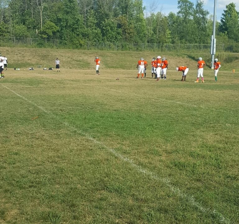 Soccer Field image 3