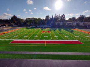Soccer Field image 1