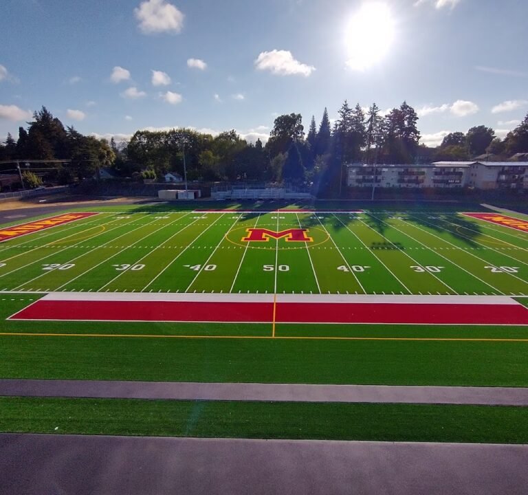 Soccer Field image 2