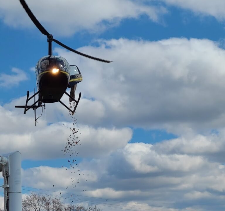 Soccer Field image 2