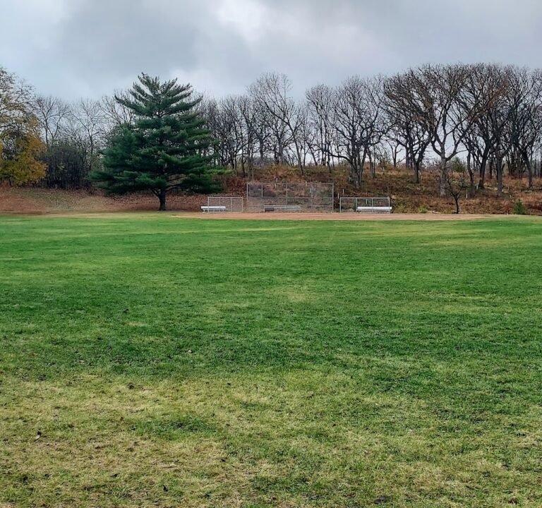 Soccer Field image 2